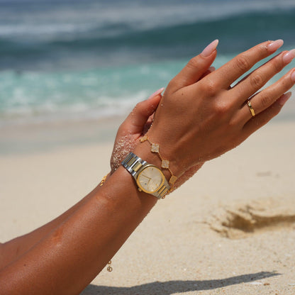 Oceana Watch